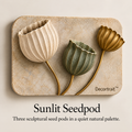 Decortrait™ Sunlit Seedpod – Sculptural Botanical Pod Wall Art